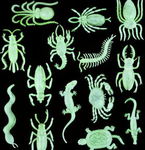 Glow In Dark Insects & Reptiles  - Party Direct